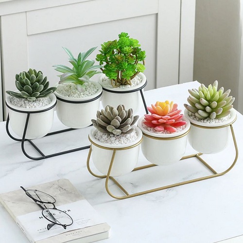 Support succulent + pots