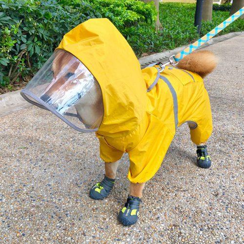 Hund Regenmantel