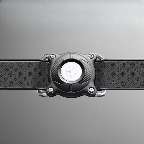 Pet collar w/ AirTag case